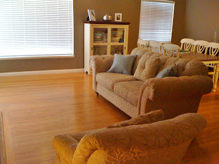 Turquoise Living and Dining Room