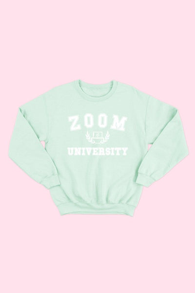 University Sweatshirt (2colors)