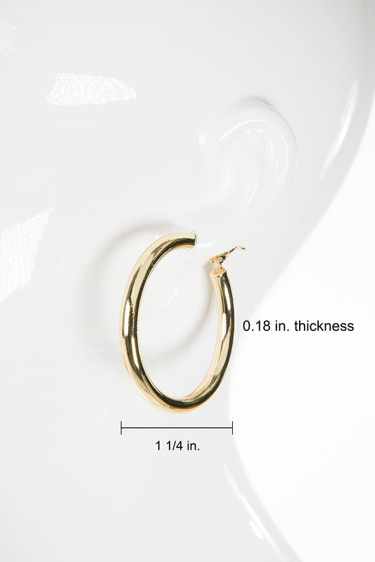 Hoop Earrings